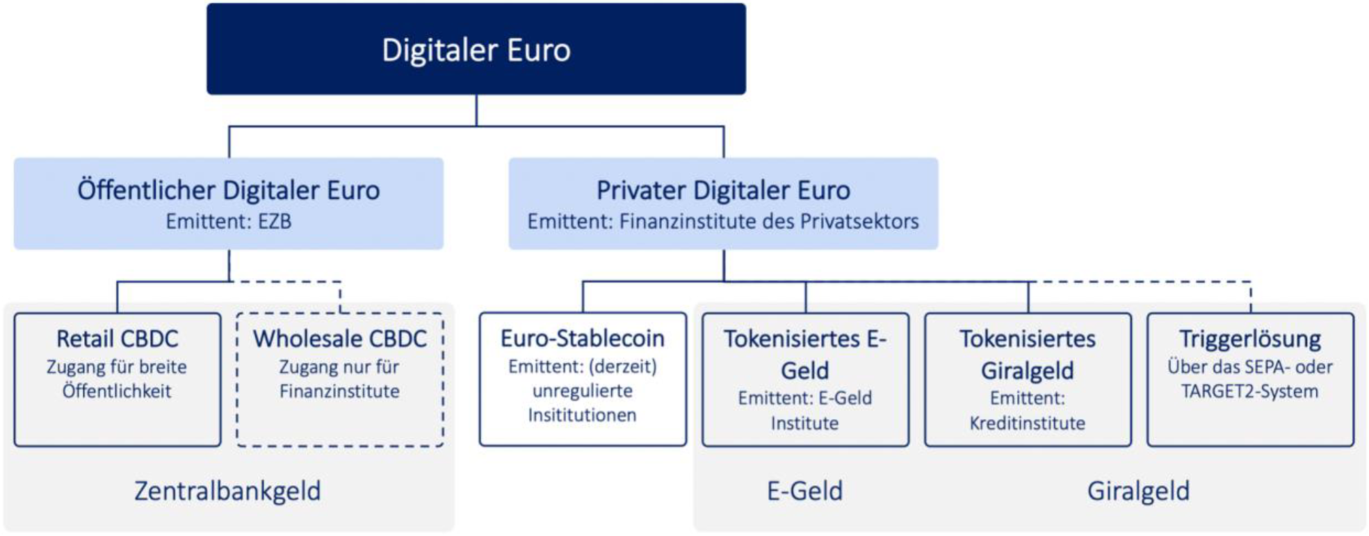 Taxonomie des digitalen Euro